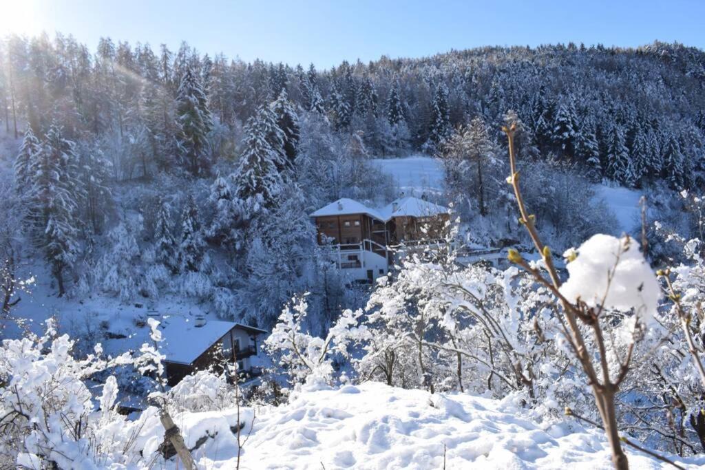 App Schlossblick - Wohnung Hammerwand 2 Umes Esterno foto