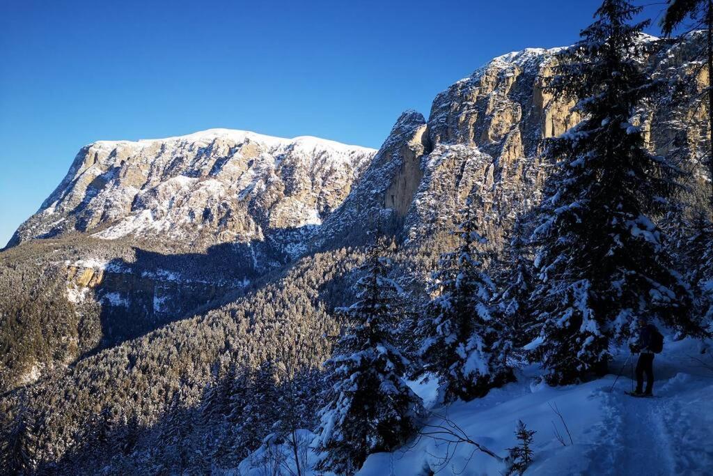 App Schlossblick - Wohnung Hammerwand 2 Umes Esterno foto